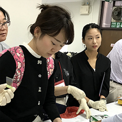 マヒドン大学熱帯医学短期研修