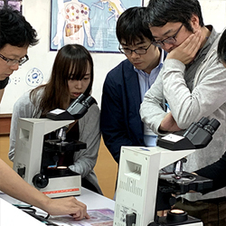 マヒドン大学熱帯医学短期研修