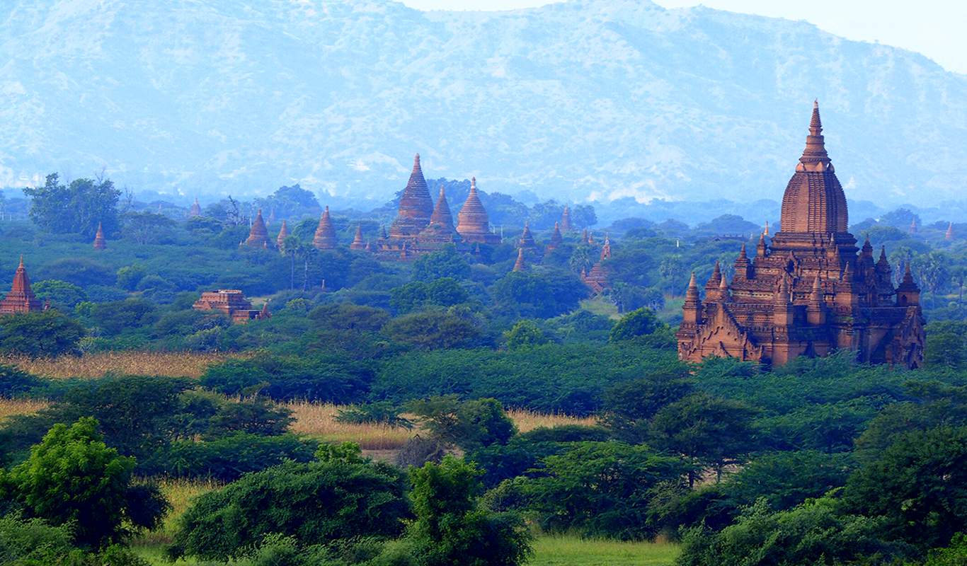 マヒドン大学熱帯医学短期研修